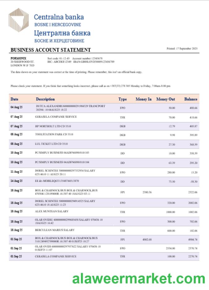 Central business bank statement Word and PDF format